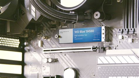 WD .